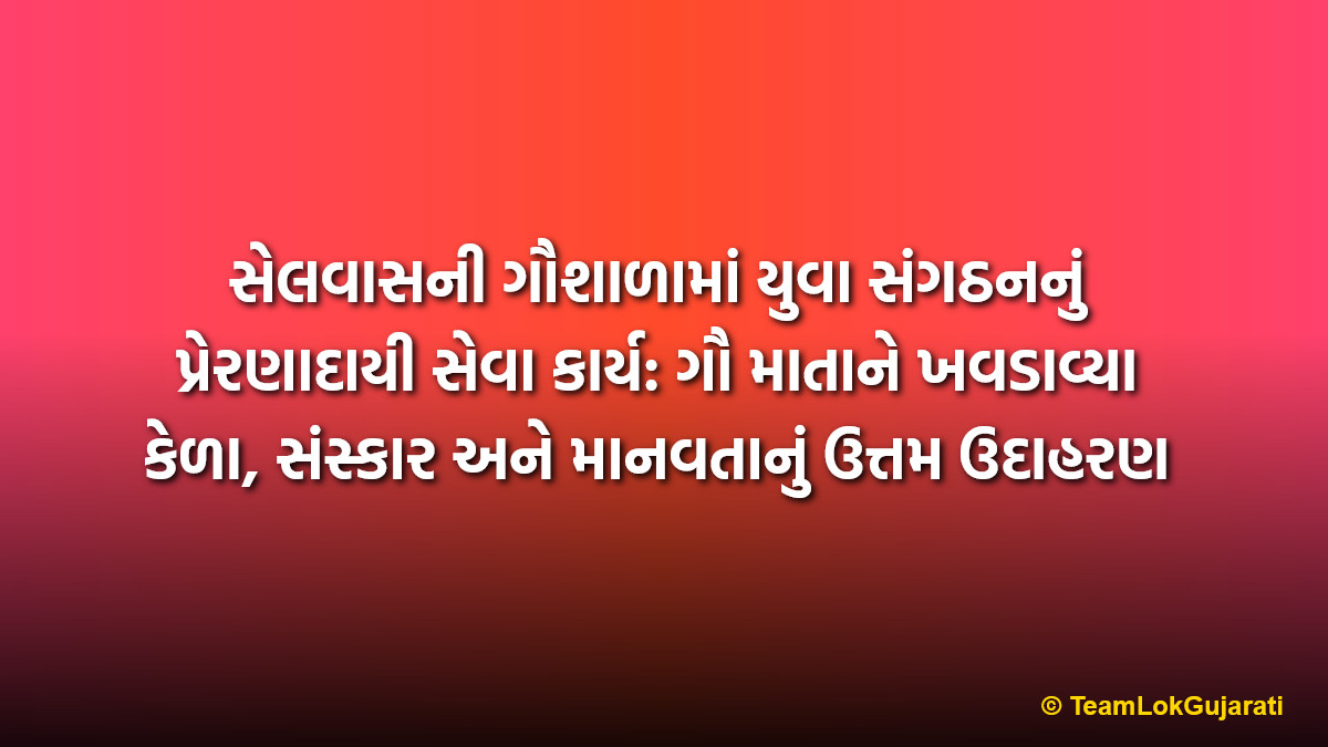 સેલવાસની ગૌશાળામાં યુવા સંગઠનનું પ્રેરણાદાયી સેવા કાર્ય: ગૌ માતાને ખવડાવ્યા કેળા, સંસ્કાર અને માનવતાનું ઉત્તમ ઉદાહરણ | Inspiring Youth Service At Silvassa Gaushala Feeding Bananas To Gau Mata