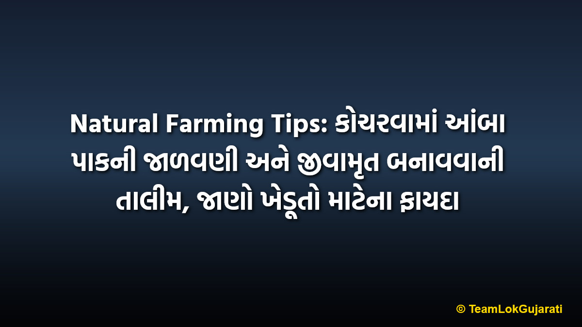 Natural Farming Tips: કોચરવામાં આંબા પાકની જાળવણી અને જીવામૃત બનાવવાની તાલીમ, જાણો ખેડૂતો માટેના ફાયદા