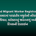 Valsad Migrant Worker Registration: વલસાડમાં પરપ્રાંતીય મજૂરોની નોંધણી ફરજિયાત, કલેક્ટરનું જાહેરનામું અને 15 દિવસની ડેડલાઈન