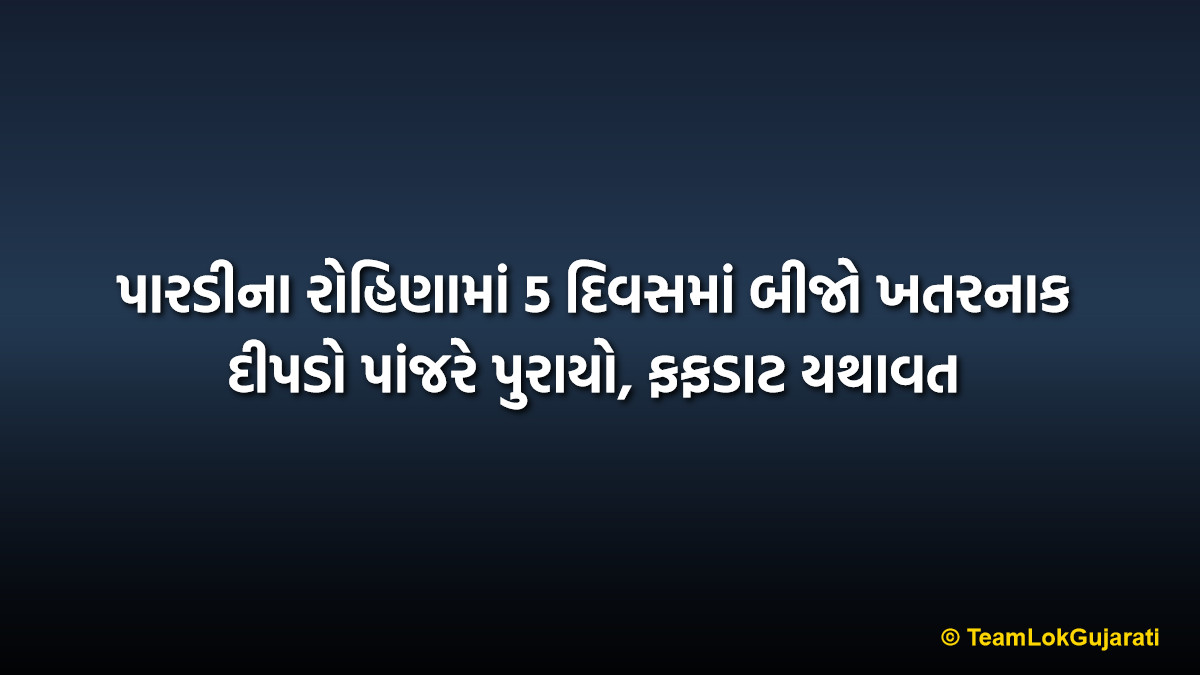 પારડીના રોહિણામાં 5 દિવસમાં બીજો ખતરનાક દીપડો પાંજરે પુરાયો, ફફડાટ યથાવત | Second Leopard Trapped in Pardi: 2 Predators Caught in 5 Days