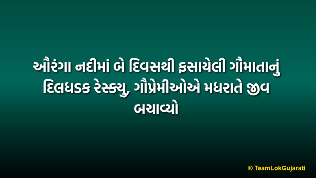ઔરંગા નદીમાં બે દિવસથી ફસાયેલી ગૌમાતાનું દિલધડક રેસ્ક્યુ, ગૌપ્રેમીઓએ મધરાતે જીવ બચાવ્યો | Auranga River Cow Rescue: Brave Midnight Mission Saves Trapped Cow