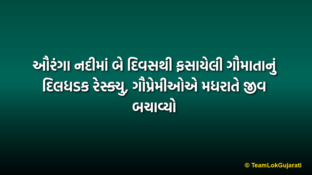 ઔરંગા નદીમાં બે દિવસથી ફસાયેલી ગૌમાતાનું દિલધડક રેસ્ક્યુ, ગૌપ્રેમીઓએ મધરાતે જીવ બચાવ્યો | Auranga River Cow Rescue: Brave Midnight Mission Saves Trapped Cow