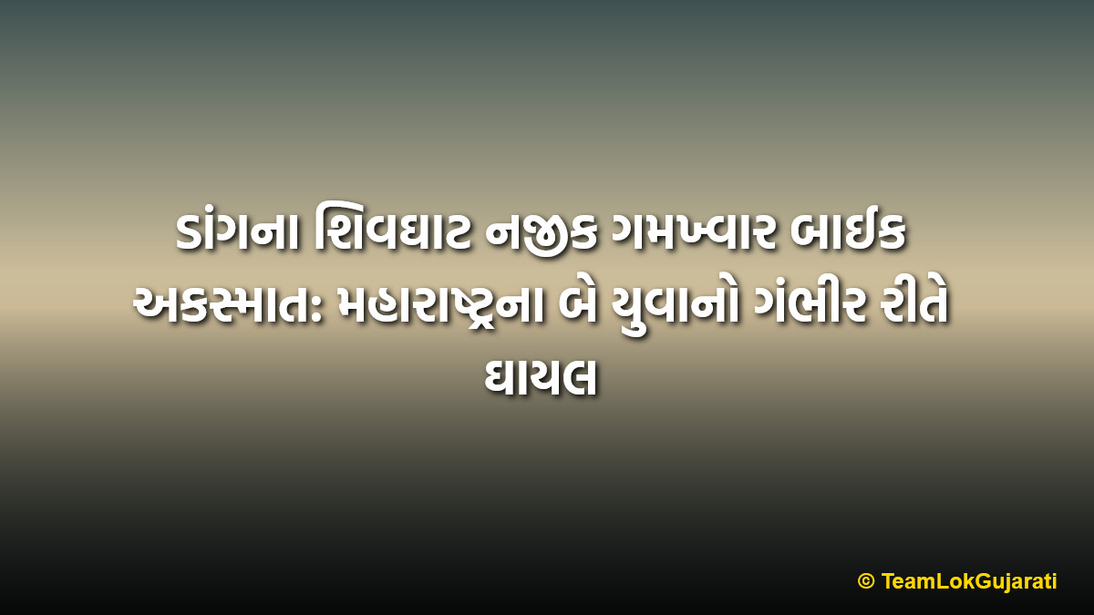 ડાંગના શિવઘાટ નજીક ગમખ્વાર બાઈક અકસ્માત: મહારાષ્ટ્રના બે યુવાનો ગંભીર રીતે ઘાયલ | Bike accident near Shivghat in Dang