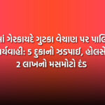 દમણમાં ગેરકાયદે ગુટકા વેચાણ પર પાલિકાની મોટી કાર્યવાહી: 5 દુકાનો ઝડપાઈ, હોલસેલરોને 2 લાખનો મસમોટો દંડ | Daman Illegal Gutka Sale Raid: 5 Shops Caught and 2 Lakh Fine