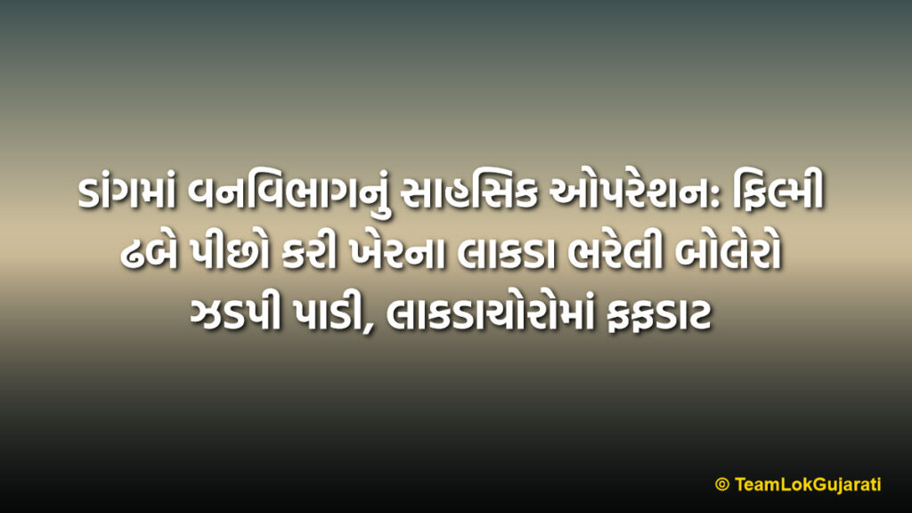 ડાંગમાં વનવિભાગનું સાહસિક ઓપરેશન: ફિલ્મી ઢબે પીછો કરી ખેરના લાકડા ભરેલી બોલેરો ઝડપી પાડી, લાકડાચોરોમાં ફફડાટ | Dang Forest Department Chases And Seizes Bolero Loaded With Khair Wood: Muddamal Worth 1.45 Lakhs Recovered
