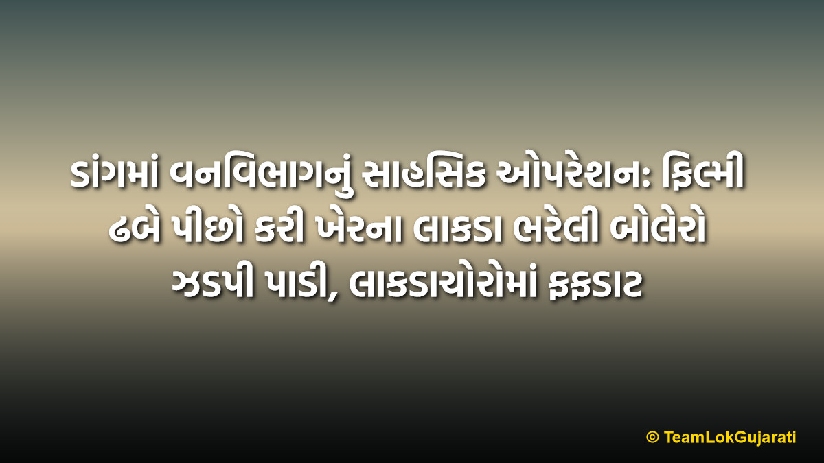 ડાંગમાં વનવિભાગનું સાહસિક ઓપરેશન: ફિલ્મી ઢબે પીછો કરી ખેરના લાકડા ભરેલી બોલેરો ઝડપી પાડી, લાકડાચોરોમાં ફફડાટ | Dang Forest Department Chases And Seizes Bolero Loaded With Khair Wood: Muddamal Worth 1.45 Lakhs Recovered