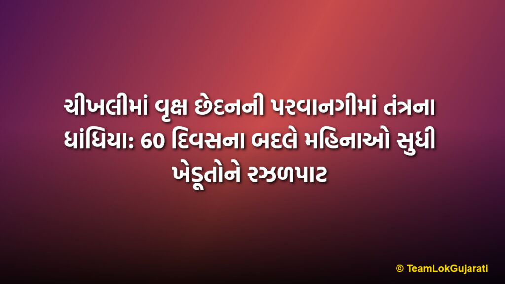 ચીખલીમાં વૃક્ષ છેદનની પરવાનગીમાં તંત્રના ધાંધિયા: 60 દિવસના બદલે મહિનાઓ સુધી ખેડૂતોને રઝળપાટ | Delay in tree cutting permission in Chikhali Forest Range