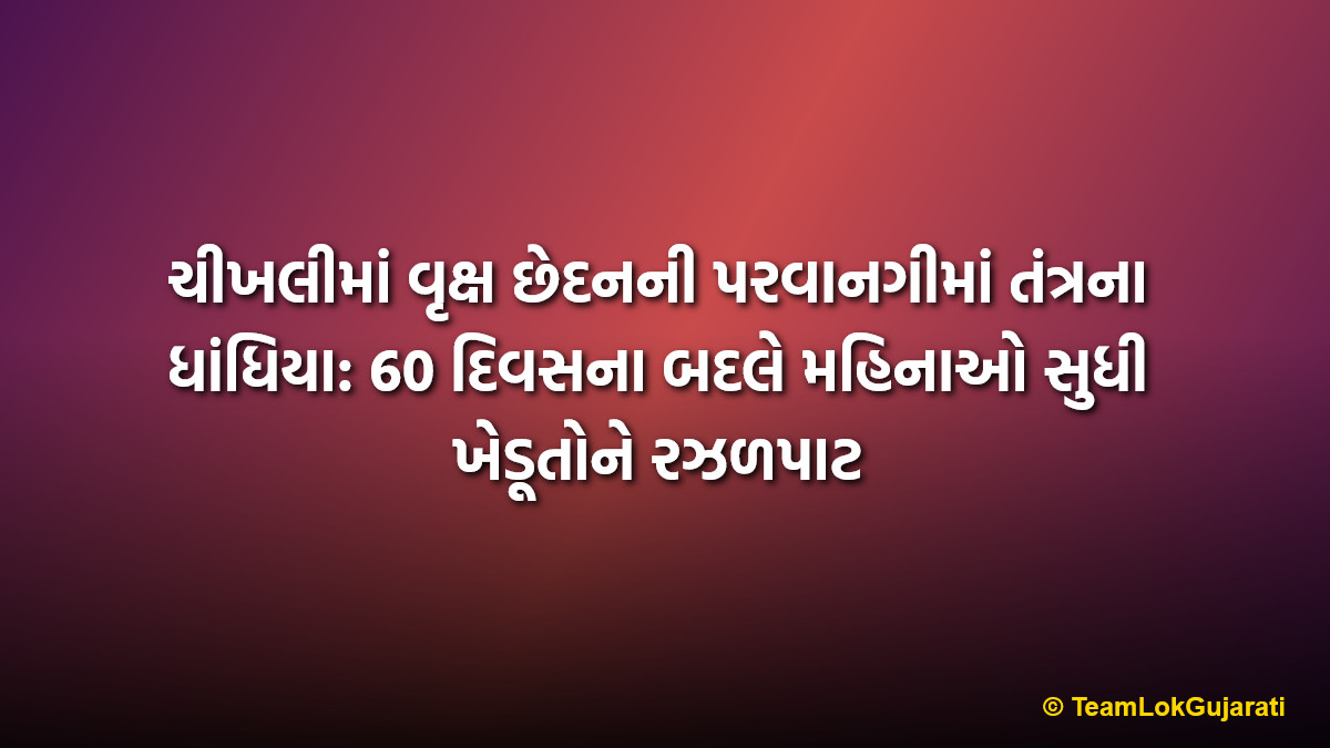 ચીખલીમાં વૃક્ષ છેદનની પરવાનગીમાં તંત્રના ધાંધિયા: 60 દિવસના બદલે મહિનાઓ સુધી ખેડૂતોને રઝળપાટ | Delay in tree cutting permission in Chikhali Forest Range