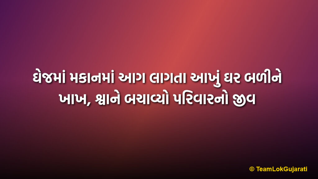 ઘેજમાં મકાનમાં આગ લાગતા આખું ઘર બળીને ખાખ, શ્વાને બચાવ્યો પરિવારનો જીવ | Ghej House Fire News: Stray Dogs Save Family Life in Massive Fire