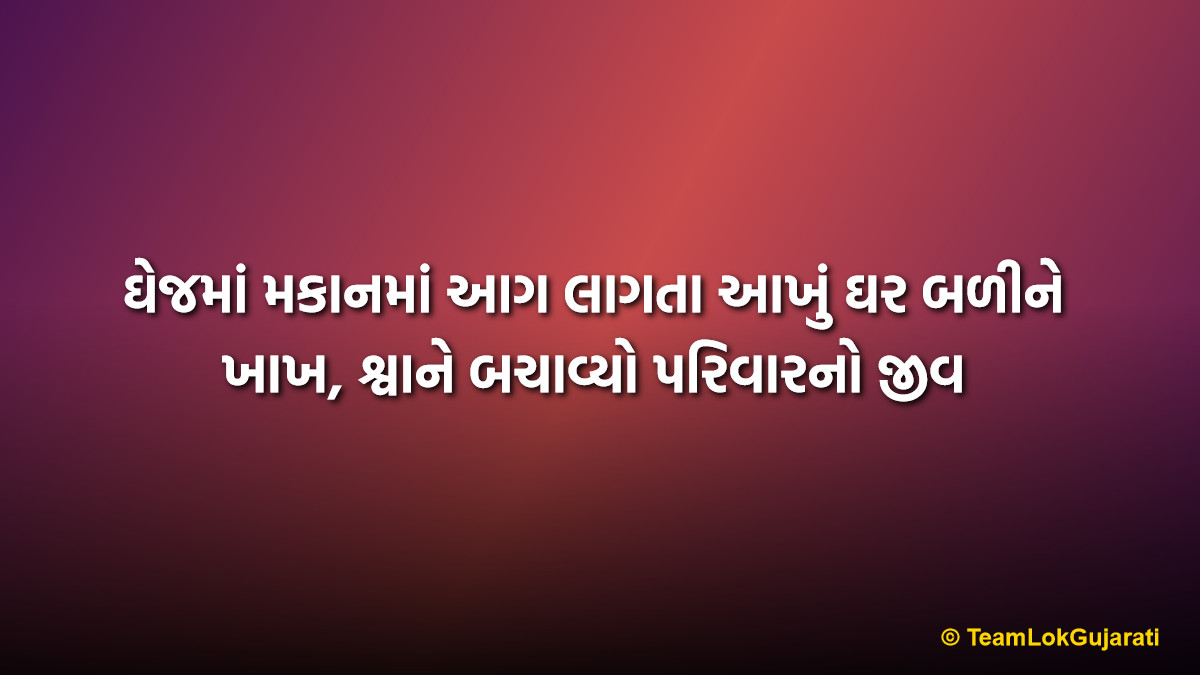 ઘેજમાં મકાનમાં આગ લાગતા આખું ઘર બળીને ખાખ, શ્વાને બચાવ્યો પરિવારનો જીવ | Ghej House Fire News: Stray Dogs Save Family Life in Massive Fire