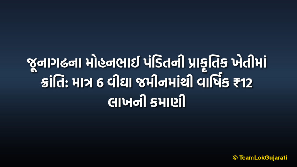 જૂનાગઢના મોહનભાઈ પંડિતની પ્રાકૃતિક ખેતીમાં ક્રાંતિ: માત્ર 6 વીઘા જમીનમાંથી વાર્ષિક ₹12 લાખની કમાણી | Junagadh Farmer Mohanbhai Pandit Earns 12 Lakh From Natural Farming