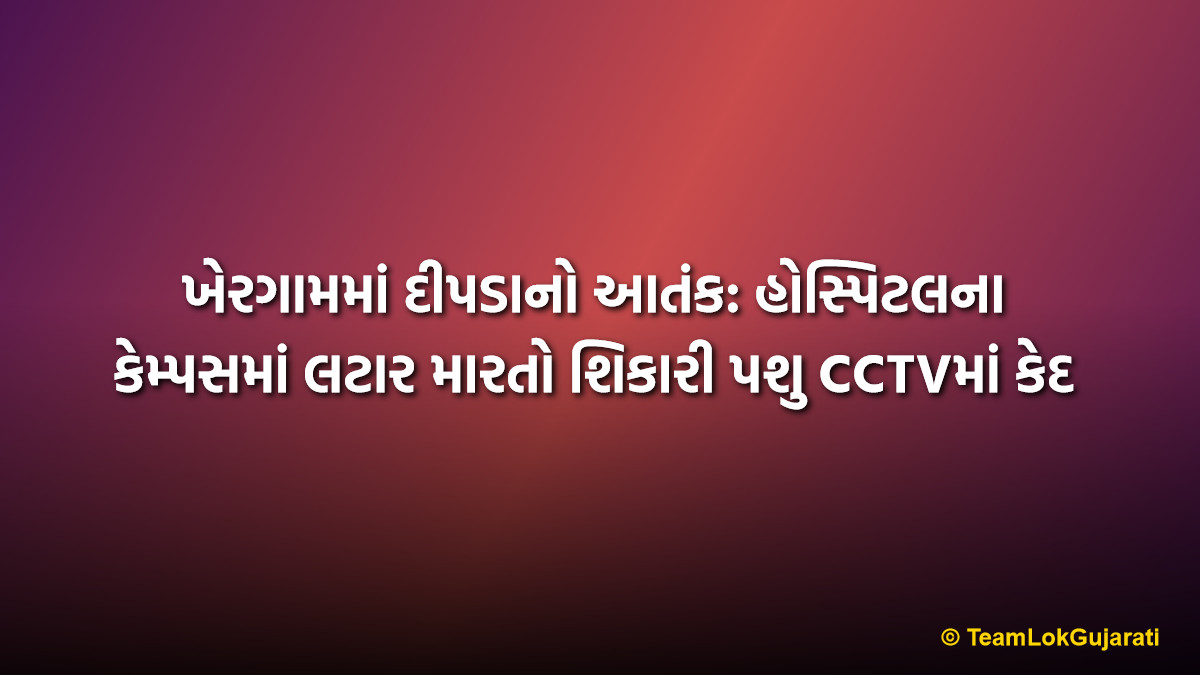 ખેરગામમાં દીપડાનો આતંક: હોસ્પિટલના કેમ્પસમાં લટાર મારતો શિકારી પશુ CCTVમાં કેદ | Leopard Terror In Khergam City: Spotted Roaming In Hospital Premises CCTV