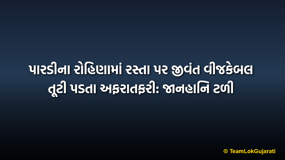 પારડીના રોહિણામાં રસ્તા પર જીવંત વીજકેબલ તૂટી પડતા અફરાતફરી: જાનહાનિ ટળી | Live Power Cable Snaps in Rohina Pardi: Traffic Halted Near Market