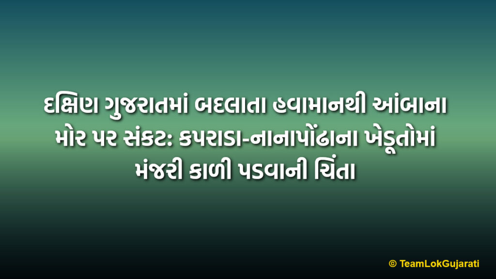 દક્ષિણ ગુજરાતમાં બદલાતા હવામાનથી આંબાના મોર પર સંકટ: કપરાડા-નાનાપોંઢાના ખેડૂતોમાં મંજરી કાળી પડવાની ચિંતા | Mango Crop At Risk In Kaprada Nanapondha Due To Cloudy Weather: Farmers Worried Over Blackening Of Blossoms