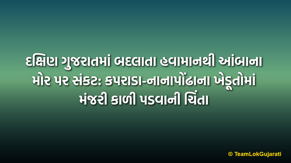 દક્ષિણ ગુજરાતમાં બદલાતા હવામાનથી આંબાના મોર પર સંકટ: કપરાડા-નાનાપોંઢાના ખેડૂતોમાં મંજરી કાળી પડવાની ચિંતા | Mango Crop At Risk In Kaprada Nanapondha Due To Cloudy Weather: Farmers Worried Over Blackening Of Blossoms