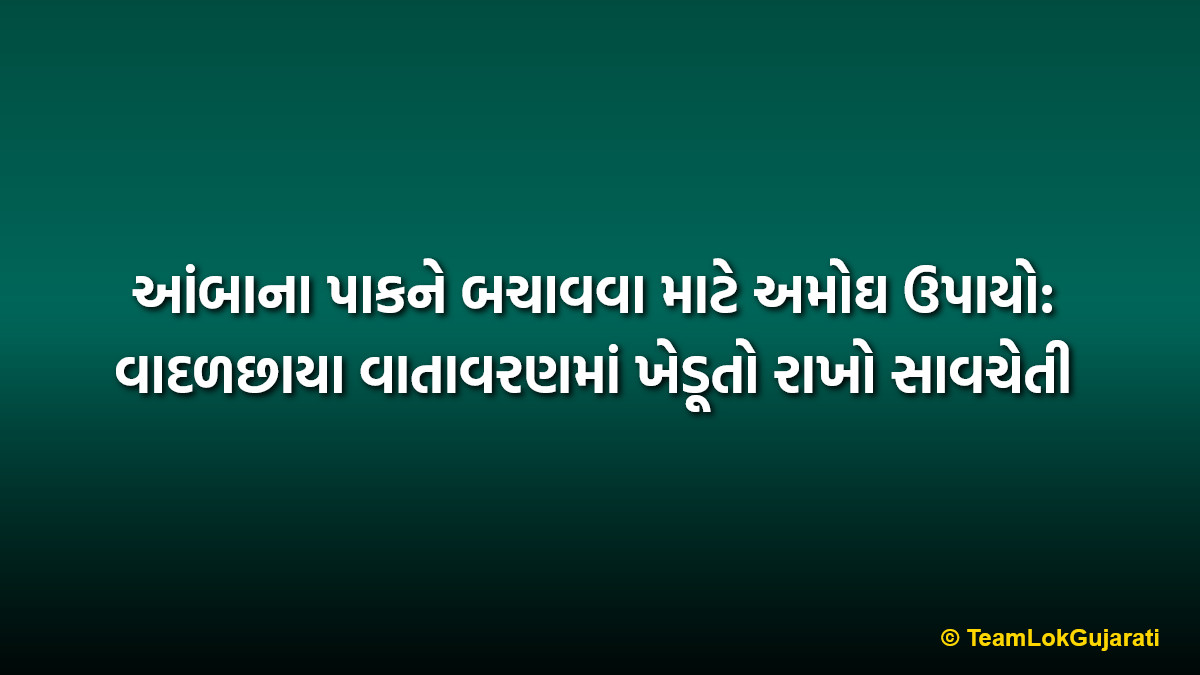 આંબાના પાકને બચાવવા માટે અમોઘ ઉપાયો: વાદળછાયા વાતાવરણમાં ખેડૂતો રાખો સાવચેતી | Mango Crop Protection Tips: Essential Guide for Farmers Amid Cloudy Weather