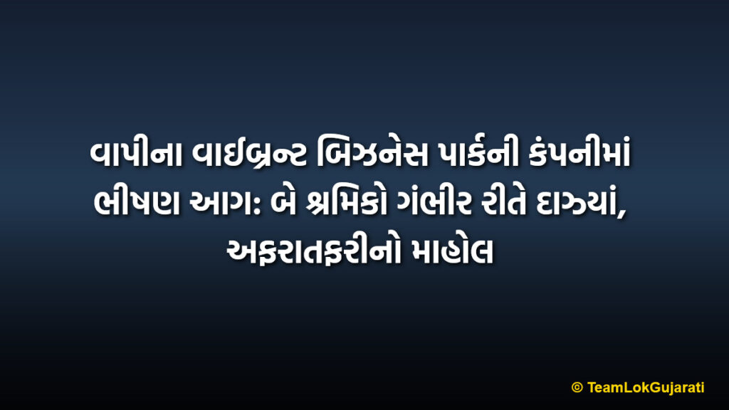 વાપીના વાઈબ્રન્ટ બિઝનેસ પાર્કની કંપનીમાં ભીષણ આગ: બે શ્રમિકો ગંભીર રીતે દાઝ્યાં, અફરાતફરીનો માહોલ | Massive Fire Breaks Out at Private Company in Vapi Vibrant Business Park Two Injured