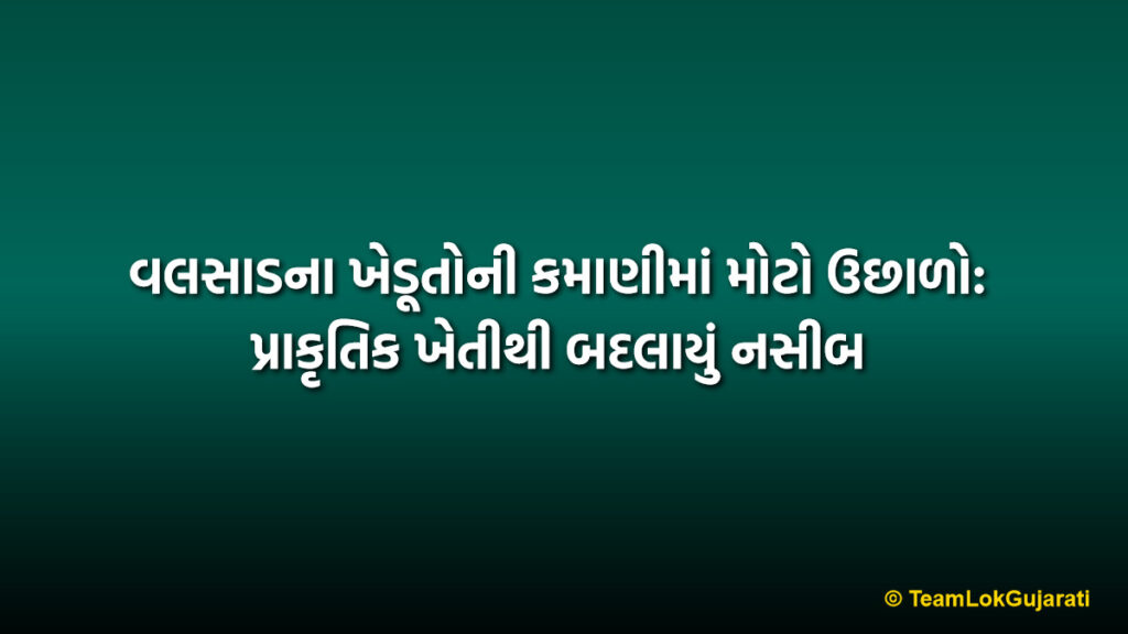 વલસાડના ખેડૂતોની કમાણીમાં મોટો ઉછાળો: પ્રાકૃતિક ખેતીથી બદલાયું નસીબ | Natural Farming Changes Lives: Massive Growth in Valsad Farmers Income