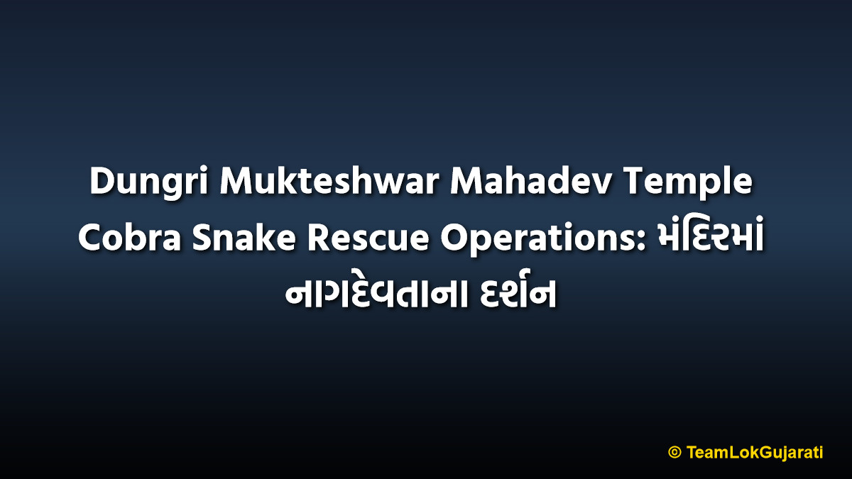 Dungri Mukteshwar Mahadev Temple Cobra Snake Rescue Operations: મંદિરમાં નાગદેવતાના દર્શન