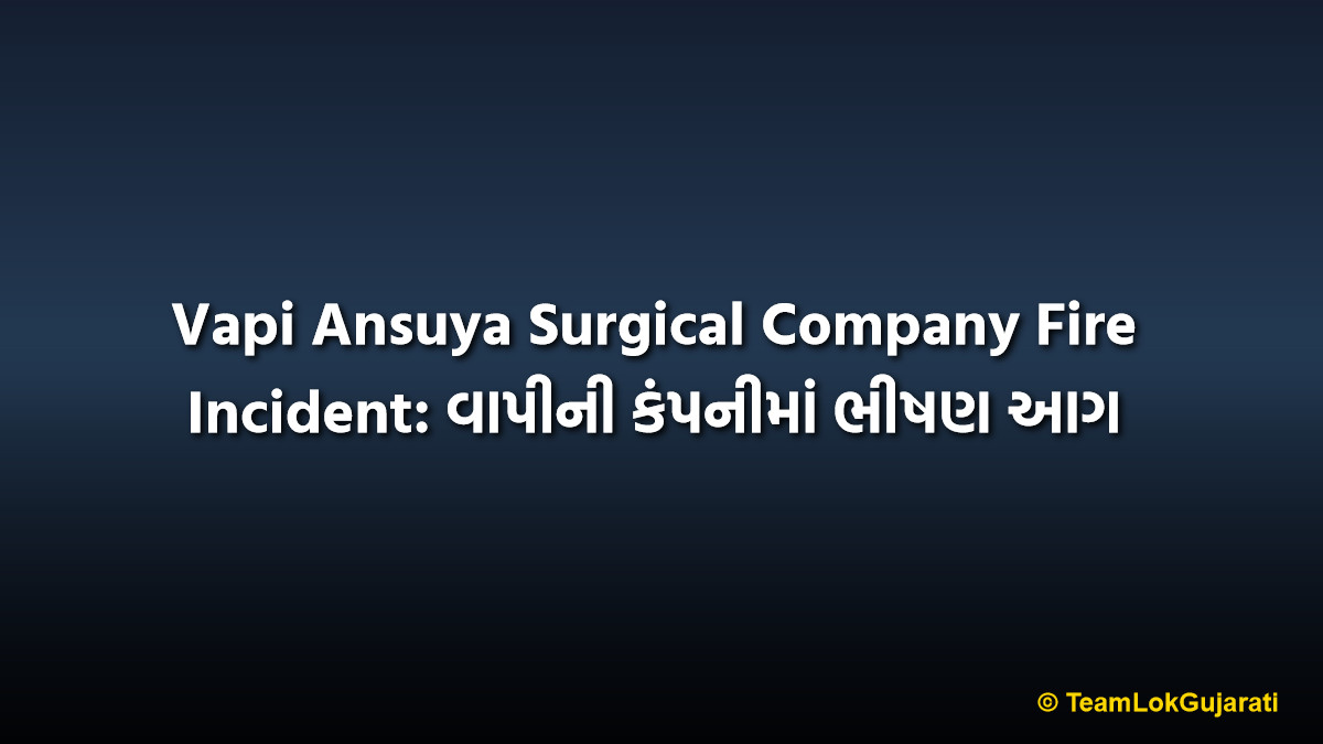 Vapi Ansuya Surgical Company Fire Incident: વાપીની કંપનીમાં ભીષણ આગ