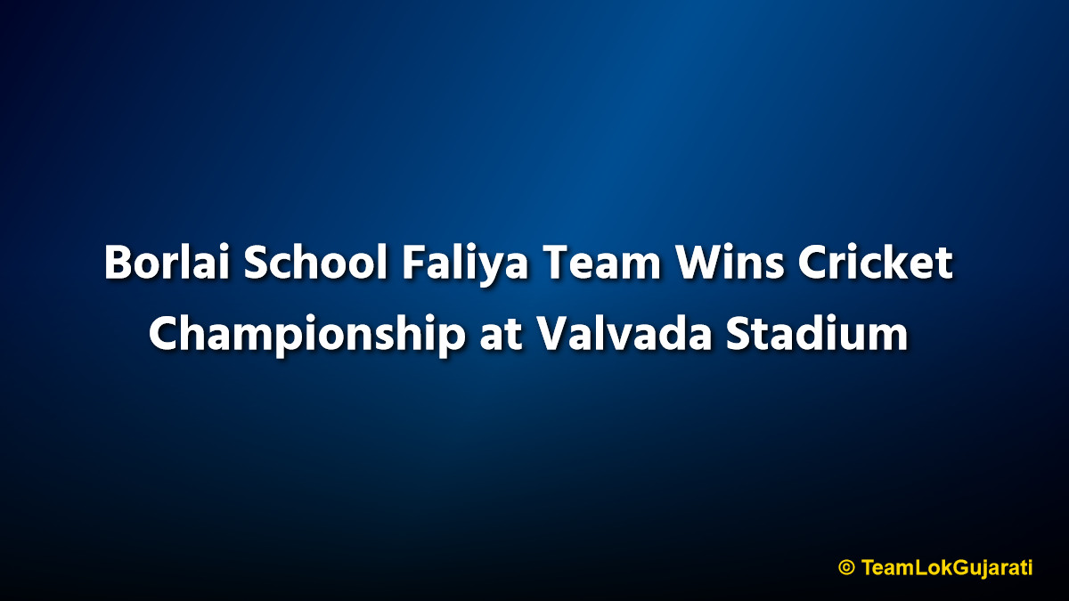 Borlai School Faliya Team Wins Cricket Championship at Valvada Stadium