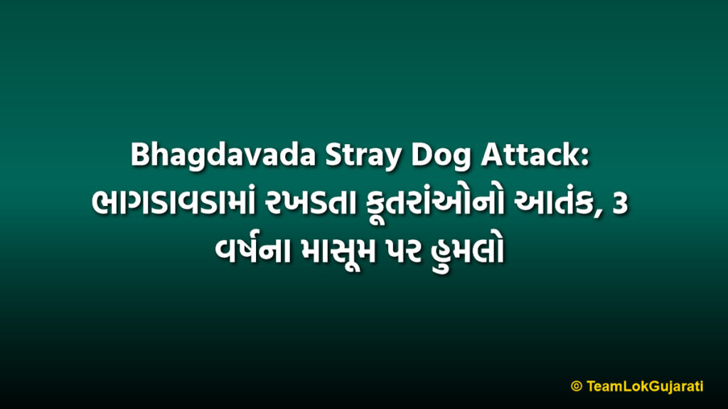 Bhagdavada Stray Dog Attack: ભાગડાવડામાં રખડતા કૂતરાંઓનો આતંક, 3 વર્ષના માસૂમ પર હુમલો