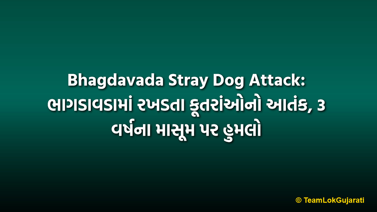 Bhagdavada Stray Dog Attack: ભાગડાવડામાં રખડતા કૂતરાંઓનો આતંક, 3 વર્ષના માસૂમ પર હુમલો