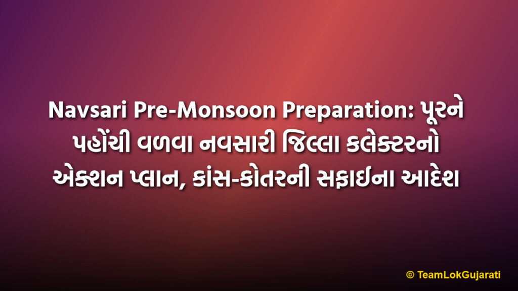 Navsari Pre-Monsoon Preparation: પૂરને પહોંચી વળવા નવસારી જિલ્લા કલેક્ટરનો એક્શન પ્લાન, કાંસ-કોતરની સફાઈના આદેશ