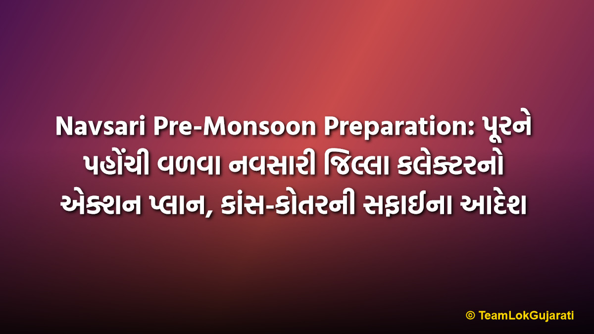 Navsari Pre-Monsoon Preparation: પૂરને પહોંચી વળવા નવસારી જિલ્લા કલેક્ટરનો એક્શન પ્લાન, કાંસ-કોતરની સફાઈના આદેશ