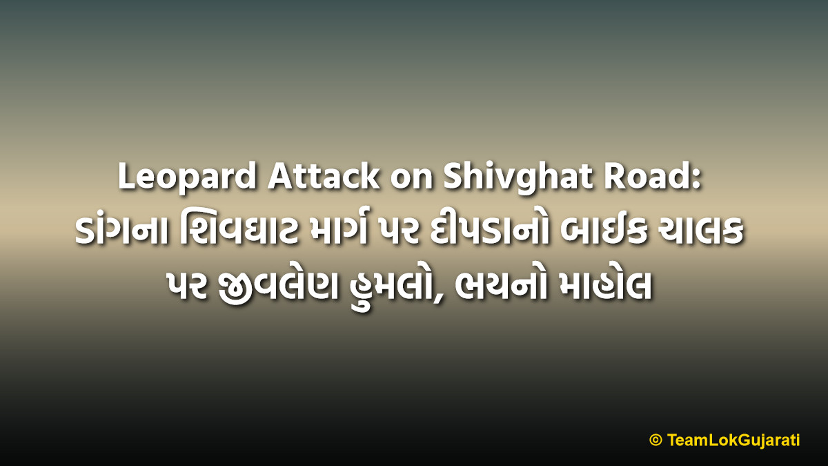 Leopard Attack on Shivghat Road: ડાંગના શિવઘાટ માર્ગ પર દીપડાનો બાઈક ચાલક પર જીવલેણ હુમલો, ભયનો માહોલ