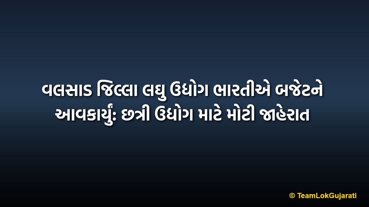 વલસાડ જિલ્લા લઘુ ઉદ્યોગ ભારતીએ બજેટને આવકાર્યું: છત્રી ઉદ્યોગ માટે મોટી જાહેરાત