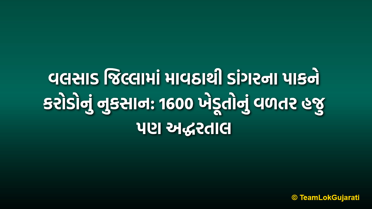 વલસાડ જિલ્લામાં માવઠાથી ડાંગરના પાકને કરોડોનું નુકસાન: 1600 ખેડૂતોનું વળતર હજુ પણ અદ્ધરતાલ
