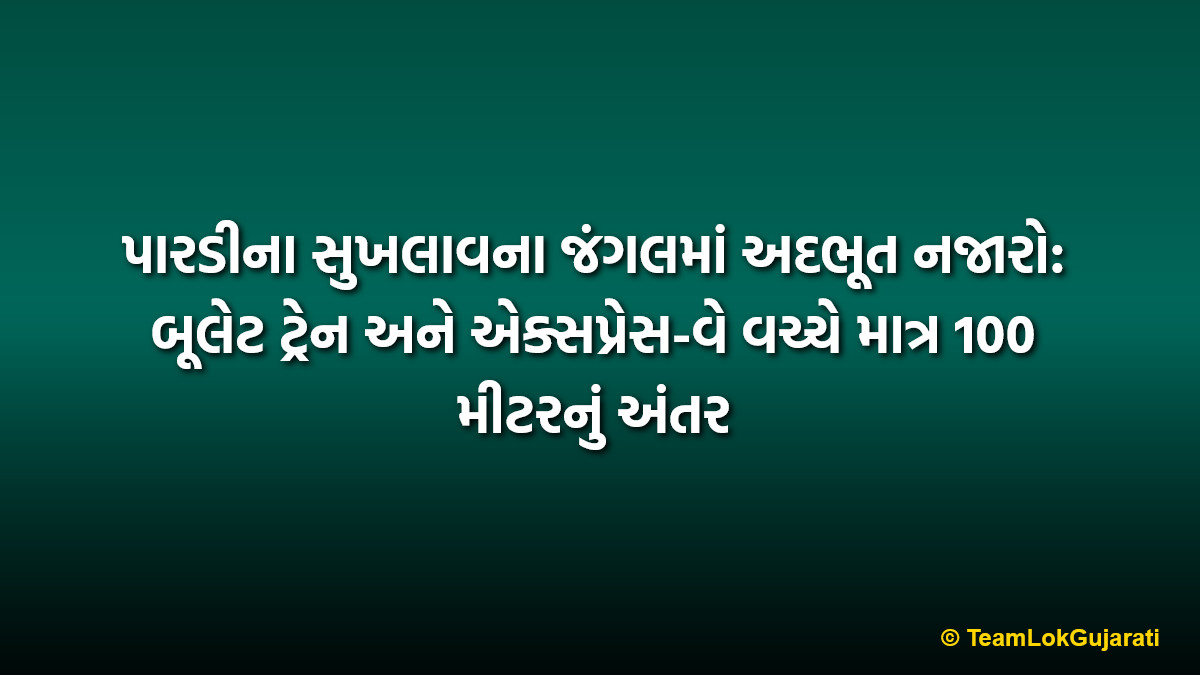 પારડીના સુખલાવના જંગલમાં અદભૂત નજારો: બૂલેટ ટ્રેન અને એક્સપ્રેસ-વે વચ્ચે માત્ર 100 મીટરનું અંતર