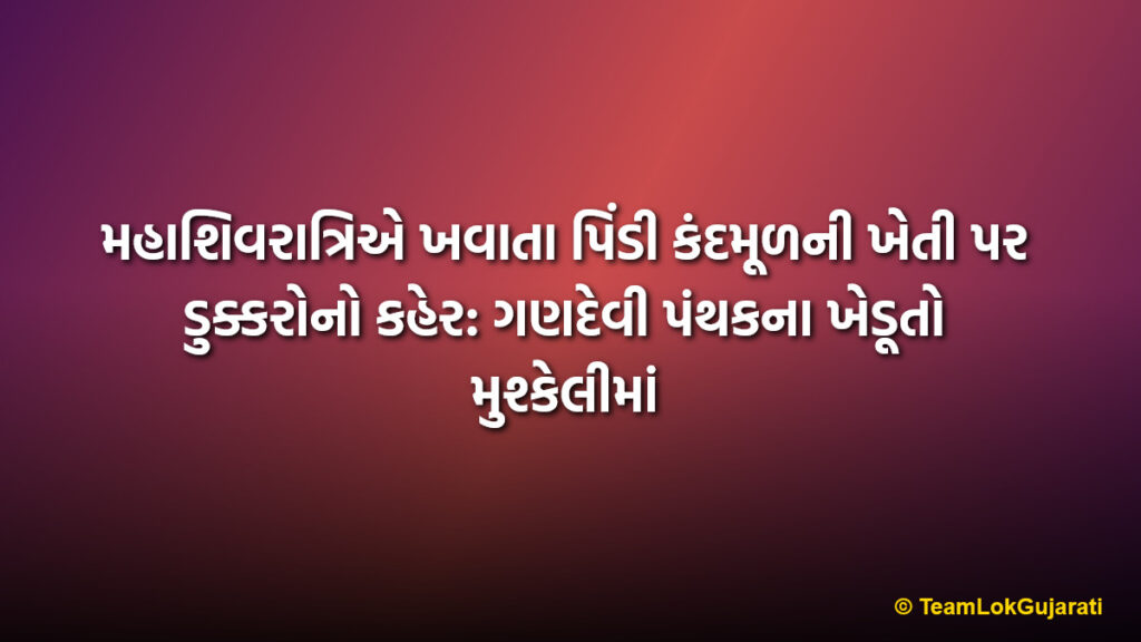 મહાશિવરાત્રિએ ખવાતા પિંડી કંદમૂળની ખેતી પર ડુક્કરોનો કહેર: ગણદેવી પંથકના ખેડૂતો મુશ્કેલીમાં