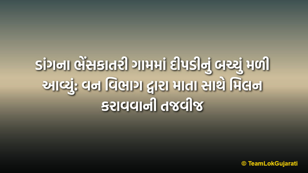 ડાંગના ભેંસકાતરી ગામમાં દીપડીનું બચ્ચું મળી આવ્યું: વન વિભાગ દ્વારા માતા સાથે મિલન કરાવવાની તજવીજ