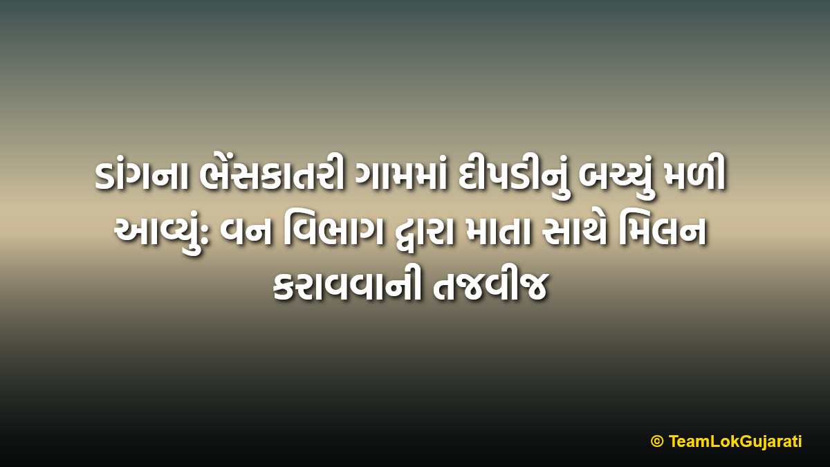 ડાંગના ભેંસકાતરી ગામમાં દીપડીનું બચ્ચું મળી આવ્યું: વન વિભાગ દ્વારા માતા સાથે મિલન કરાવવાની તજવીજ