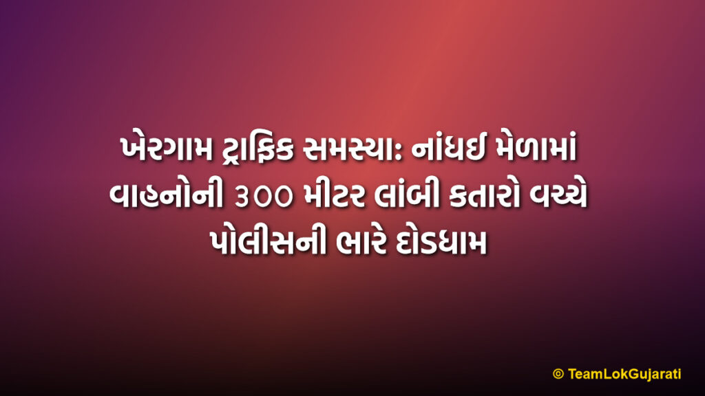 ખેરગામ ટ્રાફિક સમસ્યા: નાંધઈ મેળામાં વાહનોની ૩૦૦ મીટર લાંબી કતારો વચ્ચે પોલીસની ભારે દોડધામ