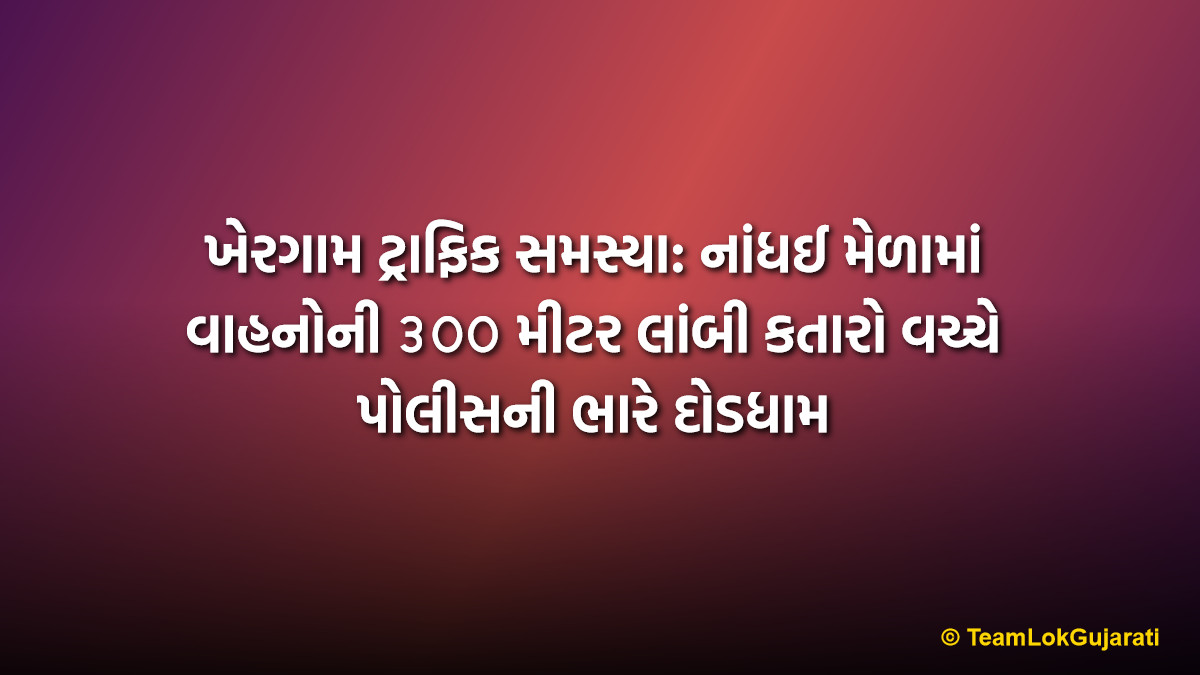 ખેરગામ ટ્રાફિક સમસ્યા: નાંધઈ મેળામાં વાહનોની ૩૦૦ મીટર લાંબી કતારો વચ્ચે પોલીસની ભારે દોડધામ