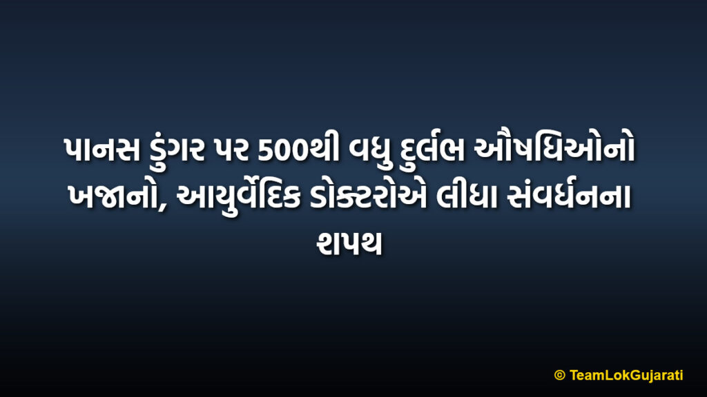 પાનસ ડુંગર પર 500થી વધુ દુર્લભ ઔષધિઓનો ખજાનો, આયુર્વેદિક ડોક્ટરોએ લીધા સંવર્ધનના શપથ | Panas Dungar Rare Medicinal Plants Conservation Pledge