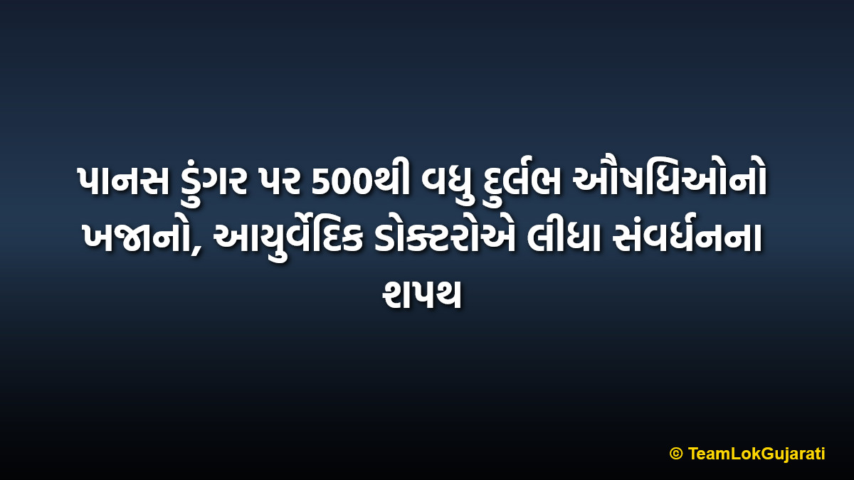 પાનસ ડુંગર પર 500થી વધુ દુર્લભ ઔષધિઓનો ખજાનો, આયુર્વેદિક ડોક્ટરોએ લીધા સંવર્ધનના શપથ | Panas Dungar Rare Medicinal Plants Conservation Pledge
