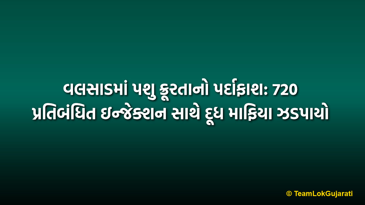 વલસાડમાં પશુ ક્રૂરતાનો પર્દાફાશ: 720 પ્રતિબંધિત ઇન્જેક્શન સાથે દૂધ માફિયા ઝડપાયો | Prohibited Oxytocin Injection Seized: Huge Milk Mafia Exposed in Valsad