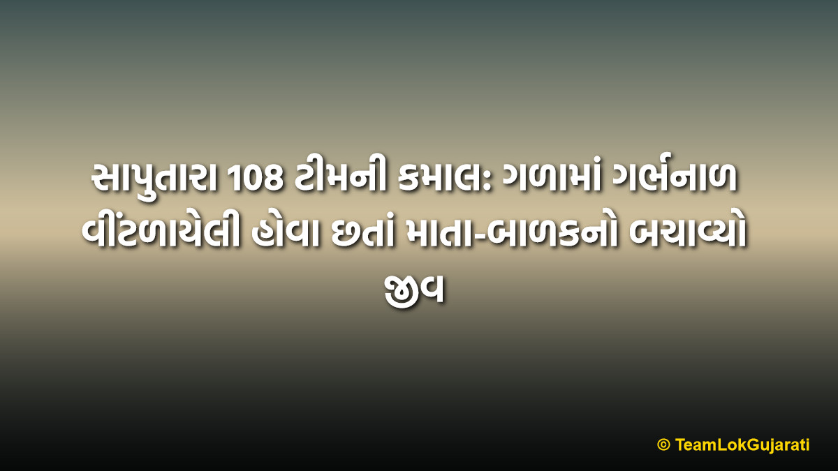 સાપુતારા 108 ટીમની કમાલ: ગળામાં ગર્ભનાળ વીંટળાયેલી હોવા છતાં માતા-બાળકનો બચાવ્યો જીવ | Saputara 108 Team Miracle: Saved Mother and Child Despite Complications
