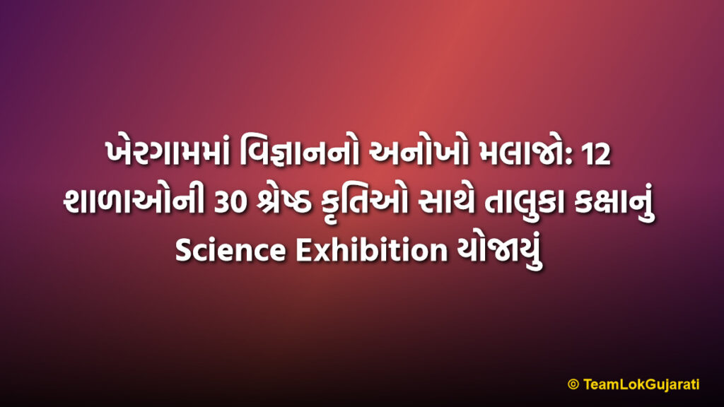 ખેરગામમાં વિજ્ઞાનનો અનોખો મલાજો: 12 શાળાઓની 30 શ્રેષ્ઠ કૃતિઓ સાથે તાલુકા કક્ષાનું Science Exhibition યોજાયું | Scientific Innovation in Khergam: 30 Projects Displayed by 12 Schools in Taluka Level Science Exhibition