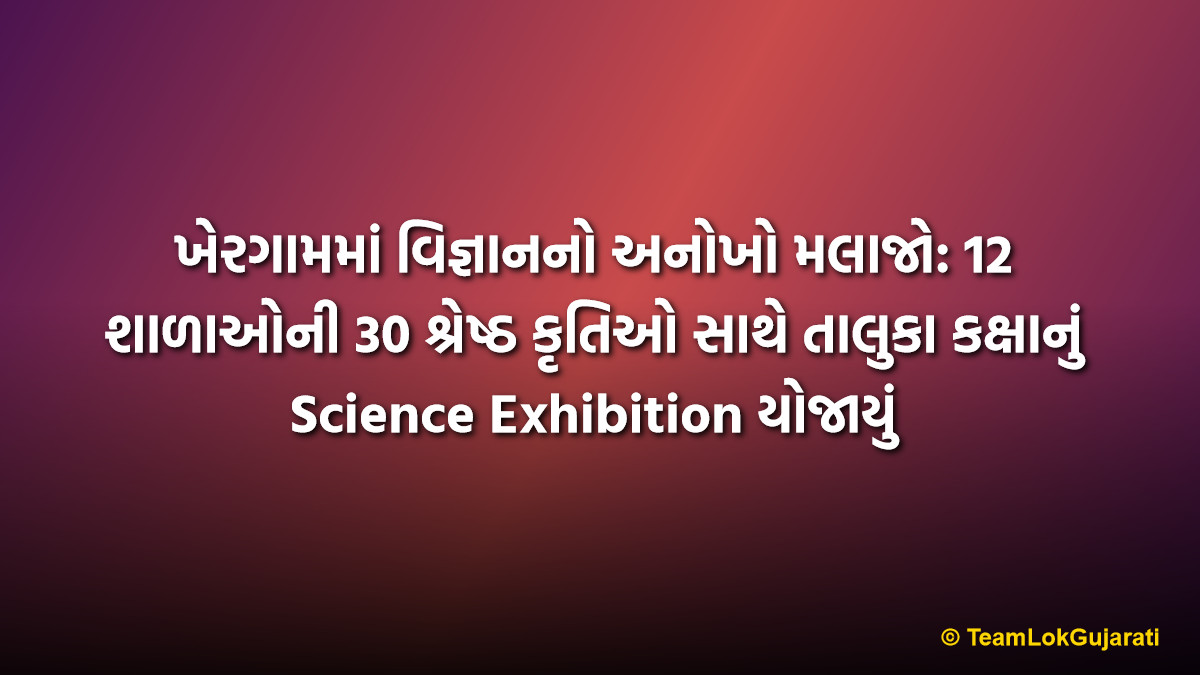 ખેરગામમાં વિજ્ઞાનનો અનોખો મલાજો: 12 શાળાઓની 30 શ્રેષ્ઠ કૃતિઓ સાથે તાલુકા કક્ષાનું Science Exhibition યોજાયું | Scientific Innovation in Khergam: 30 Projects Displayed by 12 Schools in Taluka Level Science Exhibition