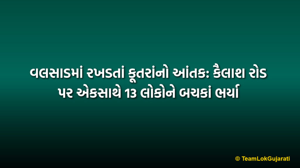 વલસાડમાં રખડતાં કૂતરાંનો આંતક: કૈલાશ રોડ પર એકસાથે 13 લોકોને બચકાં ભર્યા | Stray Dog Terror Valsad: 13 People Bitten on Kailash Road