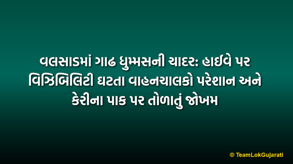 વલસાડમાં ગાઢ ધુમ્મસની ચાદર: હાઈવે પર વિઝિબિલિટી ઘટતા વાહનચાલકો પરેશાન અને કેરીના પાક પર તોળાતું જોખમ | Valsad Fog Visibility Impact On NH-48 And High Risk For Mango Crop