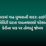 વલસાડમાં ગાઢ ધુમ્મસની ચાદર: હાઈવે પર વિઝિબિલિટી ઘટતા વાહનચાલકો પરેશાન અને કેરીના પાક પર તોળાતું જોખમ | Valsad Fog Visibility Impact On NH-48 And High Risk For Mango Crop