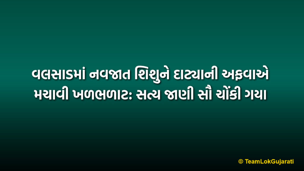 વલસાડમાં નવજાત શિશુને દાટ્યાની અફવાએ મચાવી ખળભળાટ: સત્ય જાણી સૌ ચોંકી ગયા | Valsad Secluded Ground Mystery: Shocking Find Turns Out to be a Cat