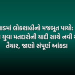 વલસાડમાં લોકશાહીનો મજબૂત પાયો: 2.62 લાખ યુવા મતદારોની યાદી સાથે નવી યાદી તૈયાર, જાણો સંપૂર્ણ આંકડા | Valsad Youth Voters List Finalized With 2.62 Lakh Young Voters