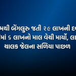 ઉમરગામથી બેંગલુરુ જતી ૨૯ લાખની દવામાંથી વાપીમાં ૬ લાખનો માલ વેચી માર્યો, લાલચુ ચાલક જેલના સળિયા પાછળ | Vapi Medicine Theft Driver Case Exposed: ₹6 Lakh Drugs Sold In Vapi
